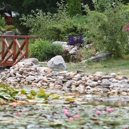 Conacul Secuiesc-Szekelyko Kuria Hotel Coltesti Esterno foto
